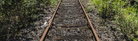 ...Trou dans la végétation laissé par une locomotive déplacée au dépôt de train....