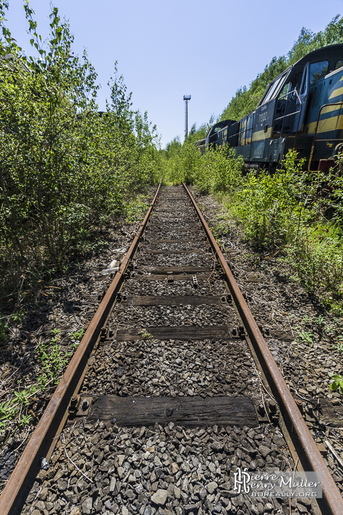 Emplacement vide laissé dans la végétation