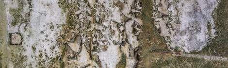 ...Texture de moisi sur un mur de l’usine en friche Béatex....