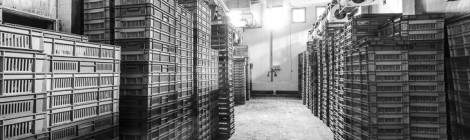 ...Chambre froide de stockage de matière première....
