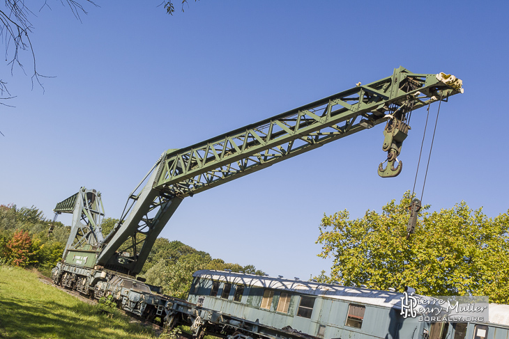 Train grues ferroviaire Diplodocus à Versailles