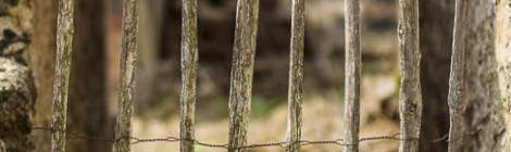 ...Barrière en bois dans une maison en ruine...