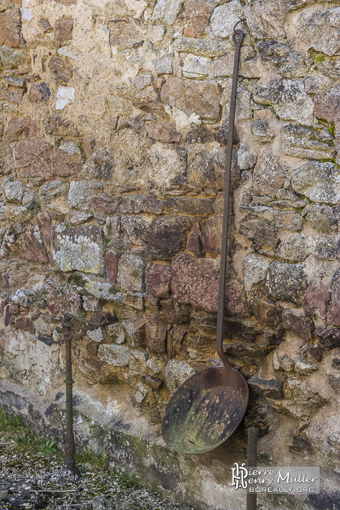 Poil à long manche dans les ruines