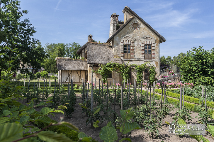 Potager devant le moulin du Hammeau de la Reine au Château de Versailles