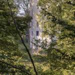 Colone détruite du Désert de Retz à Chambourcy au travers de la forêt