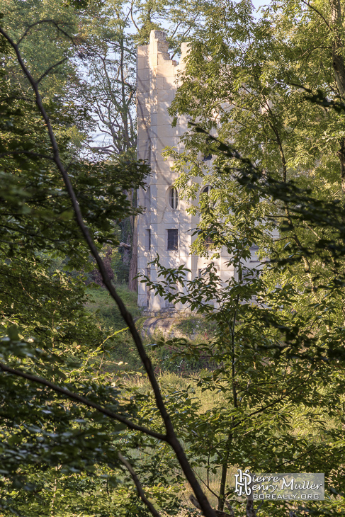 Colone détruite du Désert de Retz à Chambourcy au travers de la forêt