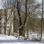 Colonne Détruite dans la forêt de Chambourcy en hiver