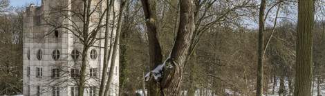 ...Colonne Détruite dans la forêt de Chambourcy en hiver....