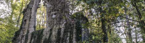 C’est la seule fabrique authentique du jardin anglo-chinois du Désert de Retz. Cette ruine est l’ancienne chapelle d’un hameau disparu nommé Saint-Jaques-de-Retz. Construite au XIIIe siècle elle fut délaissé au début du XVIe siècle pour l’abbaye de Joyenval situé à proximité. Cette ruine devenue fabrique du jardin représente l’Église catholique face à son déclin pendant le XVIIIe siècle en symbolisant l’idée que le pouvoir et la religion sont éph...