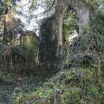 Intérieur de l'Église gothique en ruine au Désert de Retz à Chambourcy