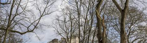 ...Sous la neige et le soleil la Colonne détruite du Désert de Retz....