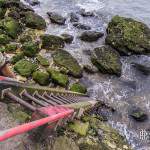 Echelle menant au par terre du Chaudron au pied des falaises d'Etretat