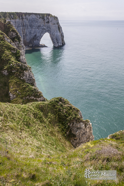 La porte de la Manneporte et la végétation des falaises à Etretat