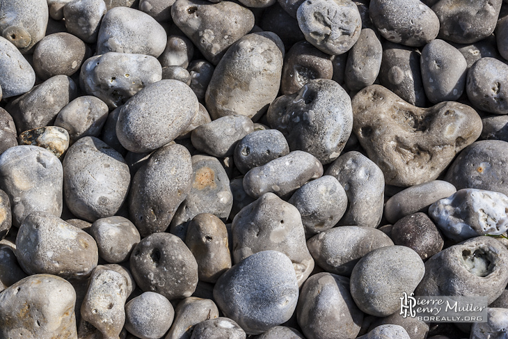 Texture de gros galets sur les plages d'Etretat