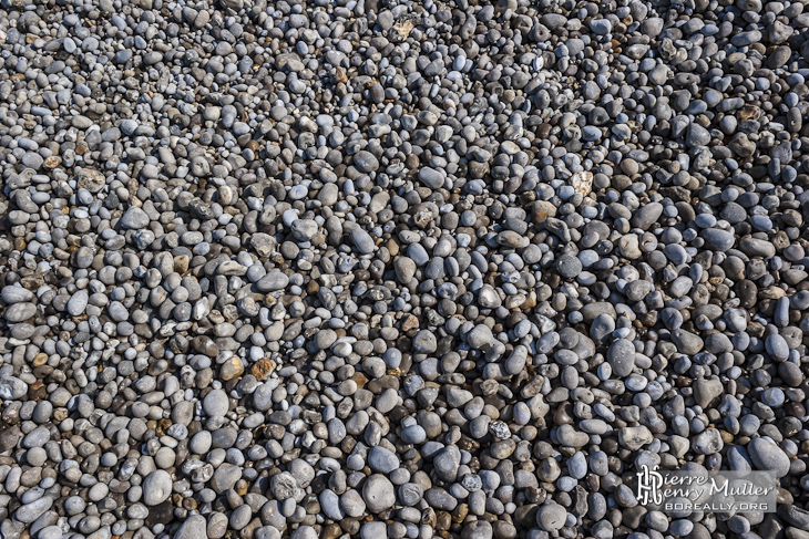 Texture de petits galets sur les plages d'Etretat