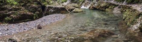...A basse eaux quelques petits bassins retiennent l&rsquo;eau du ruisseau des Gorges de Kakuetta....