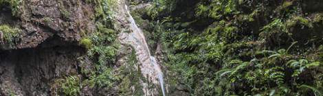 ...Ruisseau affluent aux Gorges de Kakuetta en TTHDR....