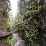 Végétation luxuriante dans les Gorges de Kakuetta