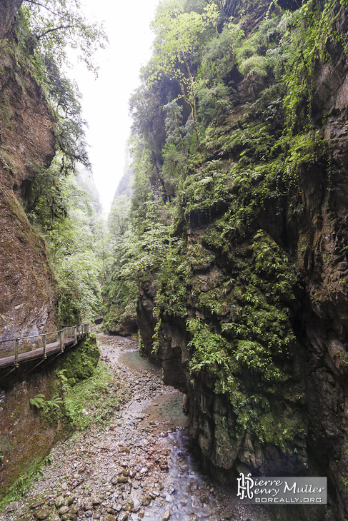 Végétation luxuriante dans les Gorges de Kakuetta