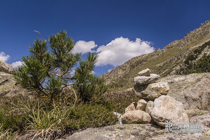 Cairn sur un chemin de montagne dans les Pyrénées espagnoles