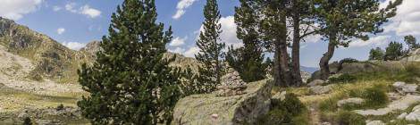 ...Cairn et un rocher avec peinture de balisage du chemin de randonnée dans les Pyrénées en Espagne....