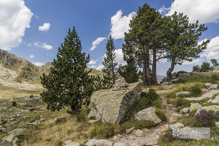 Cairn et rocher avec peinture de balisage du chemin de randonnée