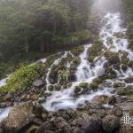 Cascade de montagne dans la brume en pause longue