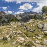 Chemin de randonnée dans les Pyrénées espagnoles