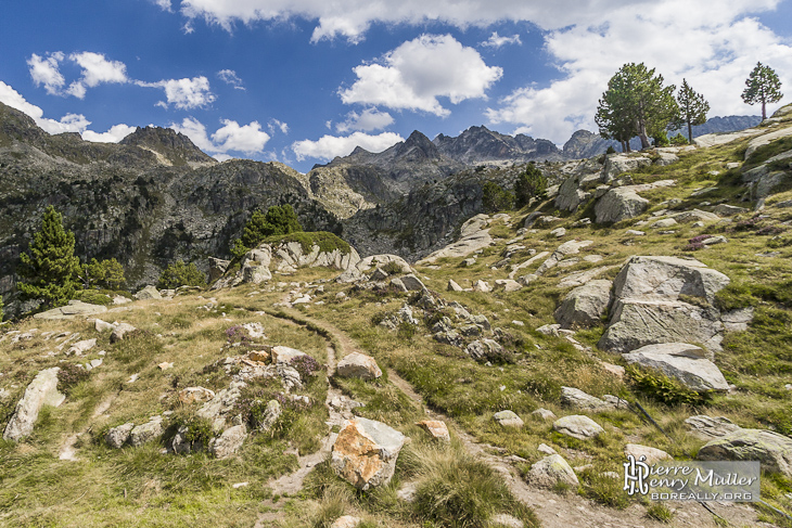 Chemin de randonnée dans les Pyrénées espagnoles