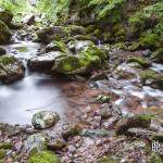 Pause longue d'un ruisseau de montagne dans la forêt