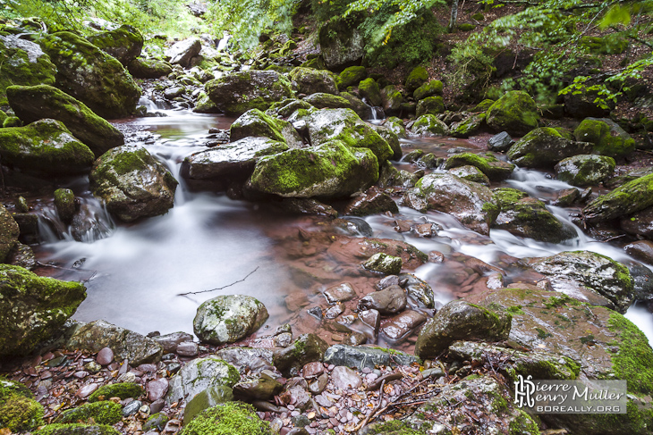 Pause longue d'un ruisseau de montagne dans la forêt