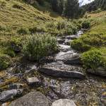 Petit ruisseau de montagne