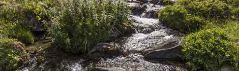 ...Petit ruisseau de montagne....