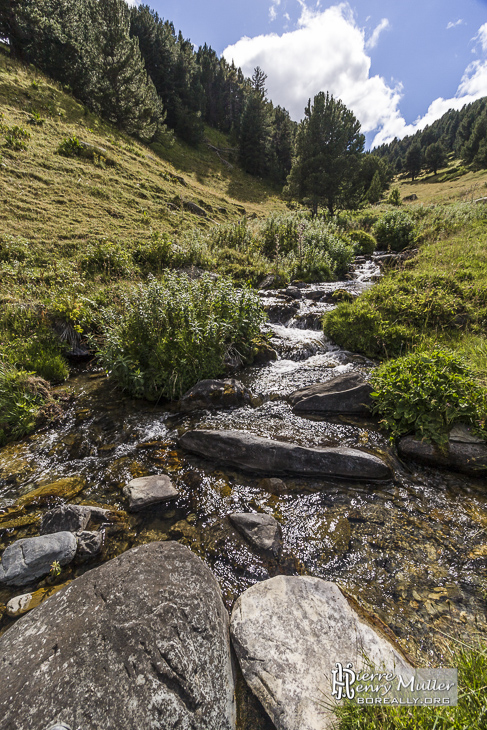 Petit ruisseau de montagne