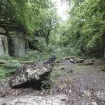 Carrière du Chauffour partie à ciel ouvert