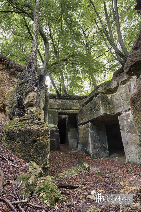 Entrée de la carrière du Chauffour