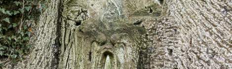 ...Fontaine sculptée en 1916 dans la roche par Henri Louis Leclabart dans la carrière du Chauffour....