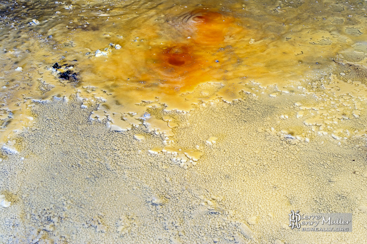 Concrétion blanc jaune orange sur le sol de la carrière Hennocque