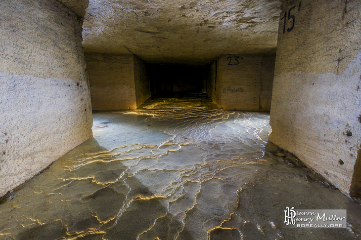 Light Painting du relief des concrétions d'une source d'eau de la carrière