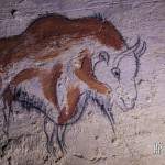Dessin préhistorique de bison
