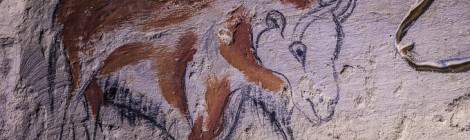 ...Bison préhistorique dessiné sur un mur de la carrière souterraine de la patate....