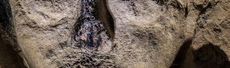 ...Sculpture d’un visage sur un mur de calcaire dans la carrière patate...