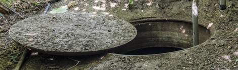 ...Bouche d’accès à la carrière Pinton dans la végétation...