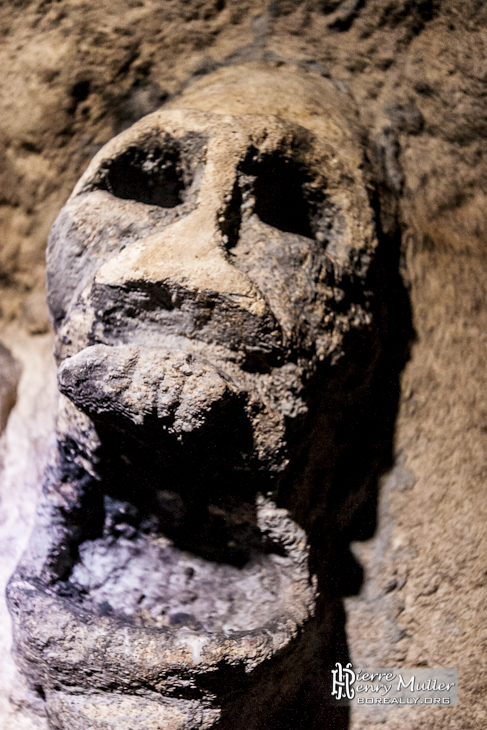 Tête de mort sculptée sur le mur de la salle Anschluss dans les catacombes de Paris