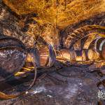 Galerie voutée de la cave brasserie de Sèvres avec ses tonneaux