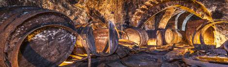 ...Galerie voutée de la cave brasserie de Sèvres avec ses tonneaux en bois pour le stockage de la bière....