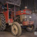Tracteur Massey Ferguson 165 mark III dans une carrière souterraine de champignoniste