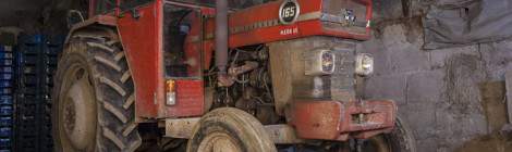 ...Les champignonnistes ont besoin de déplacer des charges, outre les engins élévateurs beaucoup sont équipés de tracteurs....