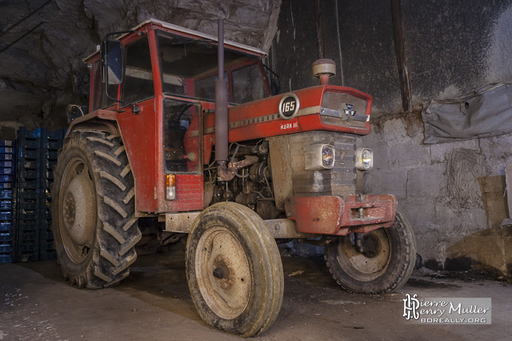 Tracteur Massey Ferguson 165 mark III dans une carrière souterraine de champignoniste