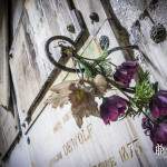 Fleurs artificielles sur les tombes de la crypte